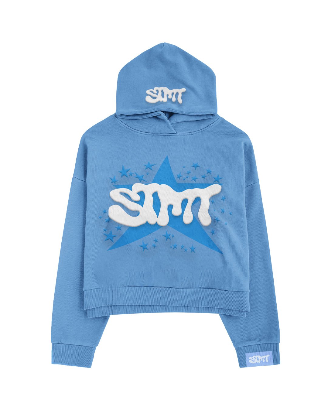 stmt hoodie (unc blue) - Statement